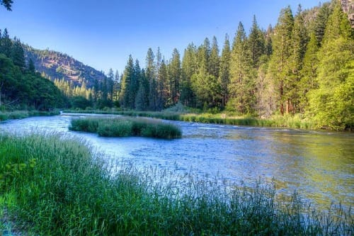 Oregon Supreme Court Rules Against Youth In Climate Case, But Chief Justice Pens Dissent Saying Judicial Branch "Has A Role To Play" In Addressing Climate Crisis