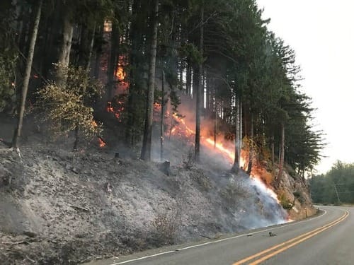 Court Considers If Washington State, Smothered By 'Climate Fires' And Smoke, Is Violating Youths' Rights To Life And Liberty